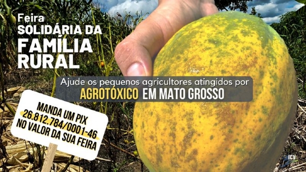 Campanha pede ajuda para pequenos produtores que tiveram colheitas atingidas por agrotxicos em MT