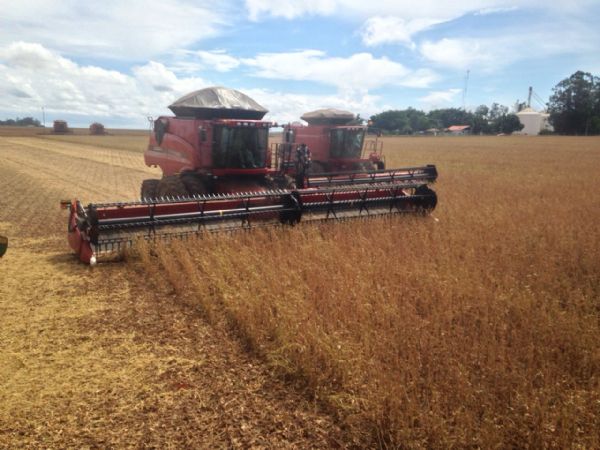 Campos de J�lio d� ponta p� na colheita da soja 2014/2015; Veja fotos
