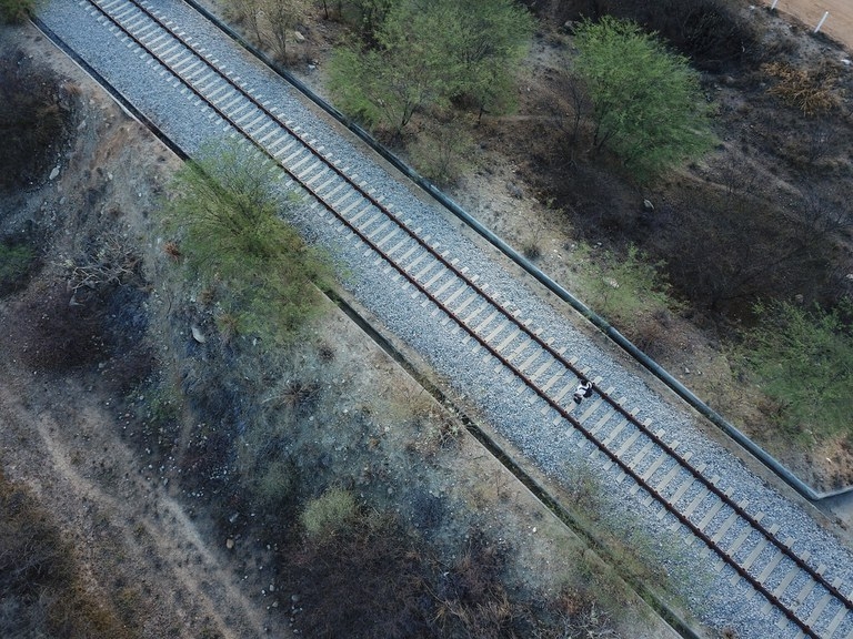 Governo federal j recebeu 11 pedidos para construo de ferrovias em MT e ultrapassa R$ 44 bi em investimentos projetados