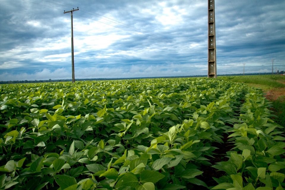 Aprosoja MT cria grupo piloto de comunicao direta entre produtores e Energisa para agilizar atendimento