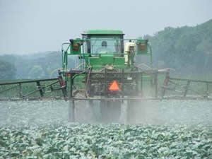 MT comprou 17.8% dos fertilizantes usados no pas