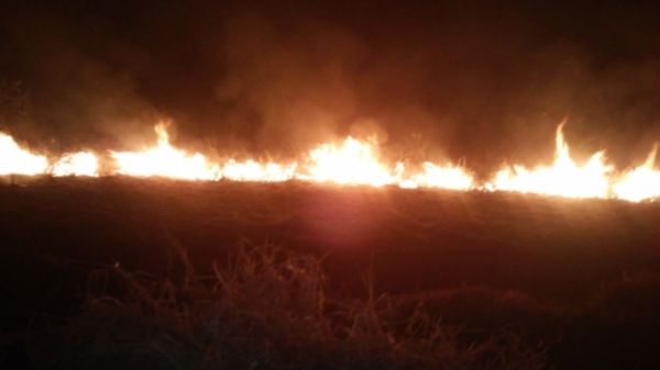 Metade da reserva indgena Mariwatsd j pegou fogo este ano