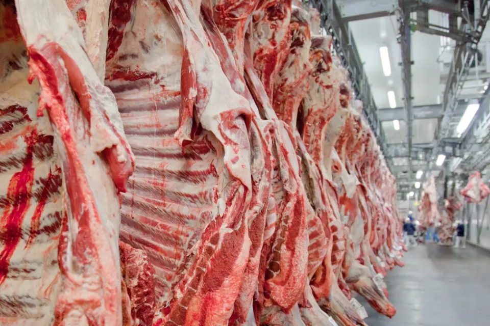 Novas tarifas dos EUA impactam 76% dos produtos exportados por MT aos EUA, diz FIEMT: veja lista