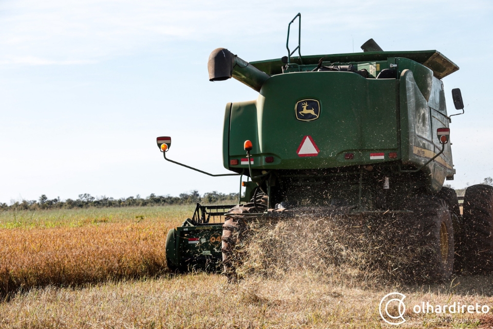 Apesar de queda, MT lidera ranking nacional de valor da produo agrcola; Estado tem 6 municpios no top-10