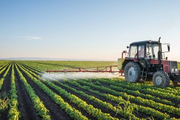 Levantamento aponta que setor do agro em MT teve 25 pedidos de recuperao judicial no primeiro trimestre deste ano