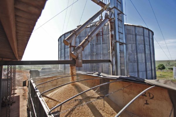 ﻿Exportao de soja em gros bate recorde no 1 semestre