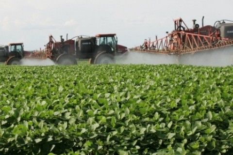 MP quer suspenso de deciso que beneficiaria multinacionais do agronegcio