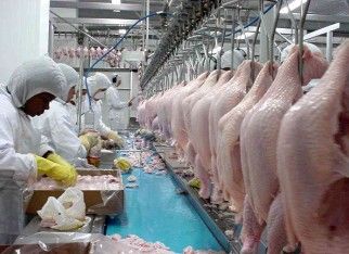 Mexicanos batem martelo e abrem as portas para frango brasileiro; setor em alta