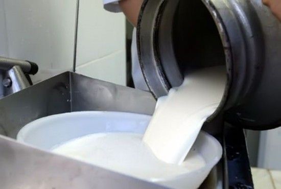 Litro do leite integral tem queda de 6,16% ao consumidor em novembro em mdia