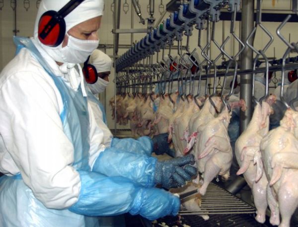 Carnes ocupam 2 lugar nas exportaes; frango lidera ranking