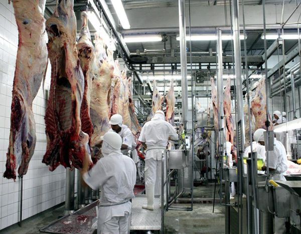 Frigorífico de Paranatinga deve ser habilitado para exportar carne para os EUA nos próximos dias