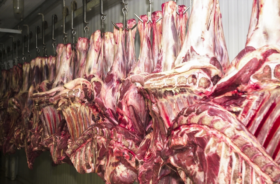 Marfrig comunica ao governo parada na produo de carne destinada aos EUA em Mato Grosso