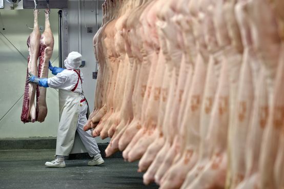 Brasil e EUA trocam cartas nesta segunda-feira para exportao de carne bovina