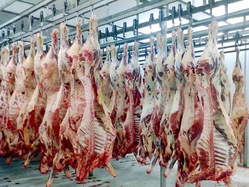 Governo brasileiro visita pases para reverter embargo da carne bovina