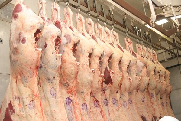 Arbia Saudita deve reabrir portos para carne bovina brasileira aps dois anos