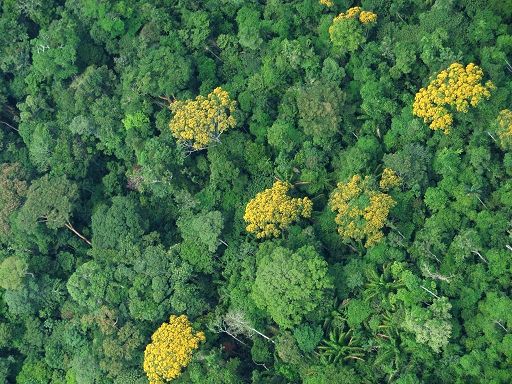 Meio Ambiente prope mutiro nacional para regularizao ambiental de propriedades rurais brasileiras