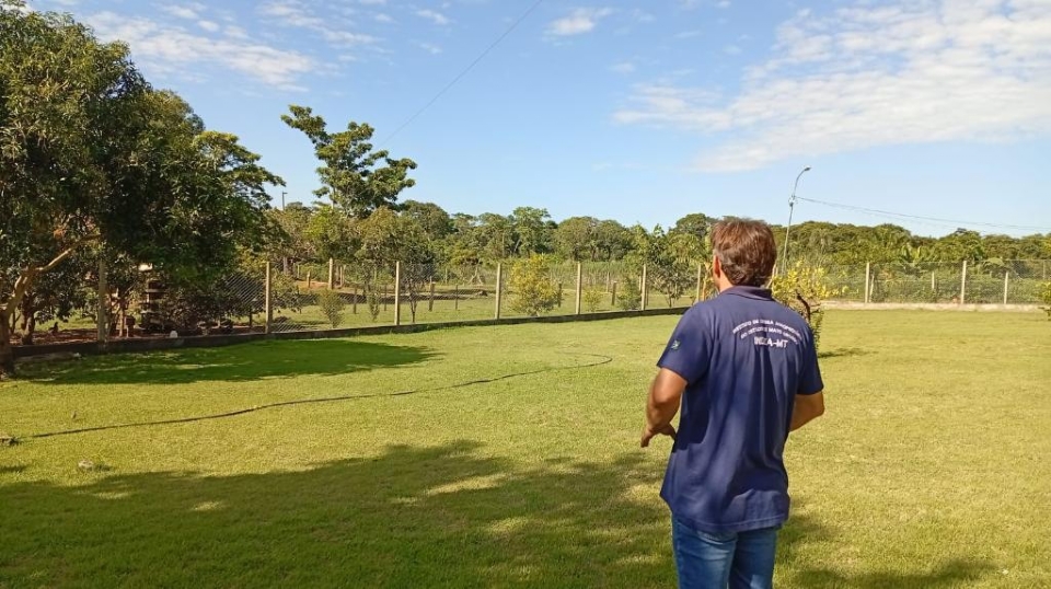 Mapa confirma caso de gripe avi�ria em Acorizal; equipes do Indea atuam para conter foco