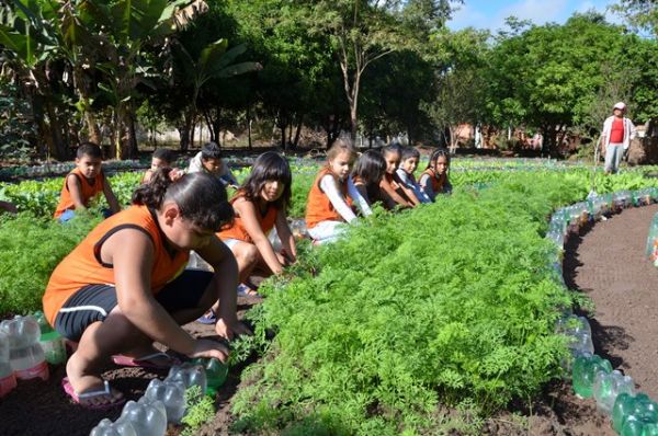 Hortas sustentveis so cultivadas em escolas municipais de Cuiab