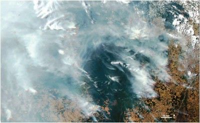 Conciliar produo agropecuria e meio ambiente: preocupao da Governaa Ambiental