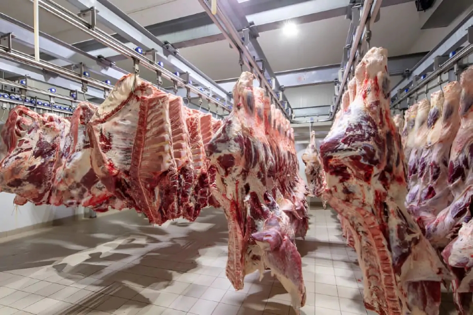 Exporta��es de carnes de MT ultrapassam US$ 3,8 bilh�es e crescem mais de 43% em 2025