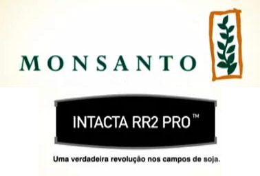 Intacta RR2 dever ser plantada experimentalmente em Mato Grosso