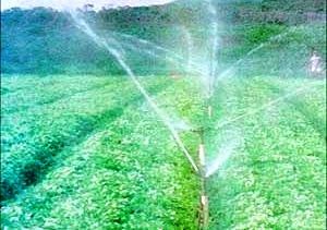Projeto executivo para colocar R$ 80 milhes de irrigao em assentamento  protocolizado