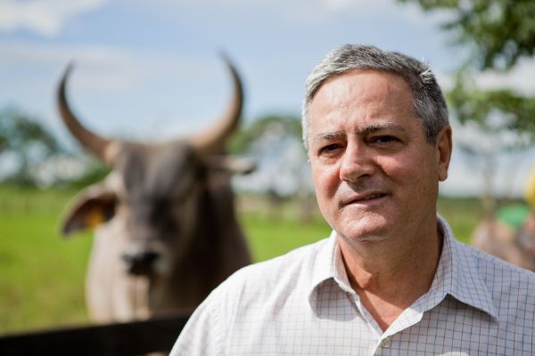 Ganho na pecuria pode chegar a 8 arrobas no sistema Integrao Lavoura-Pecuria