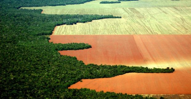 Produtores defendem que agronegcio preserva meio ambiente e comemoram reforma trabalhista