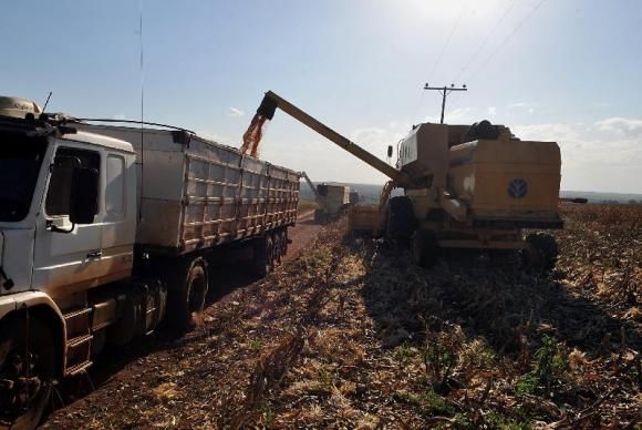 Colheita atinge 16,25% da rea de soja em Mato Grosso; produtores devem estar atentos  chuva