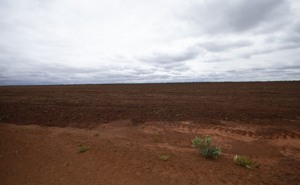 rea de lavoura na Terra Indgena em Sangradouro