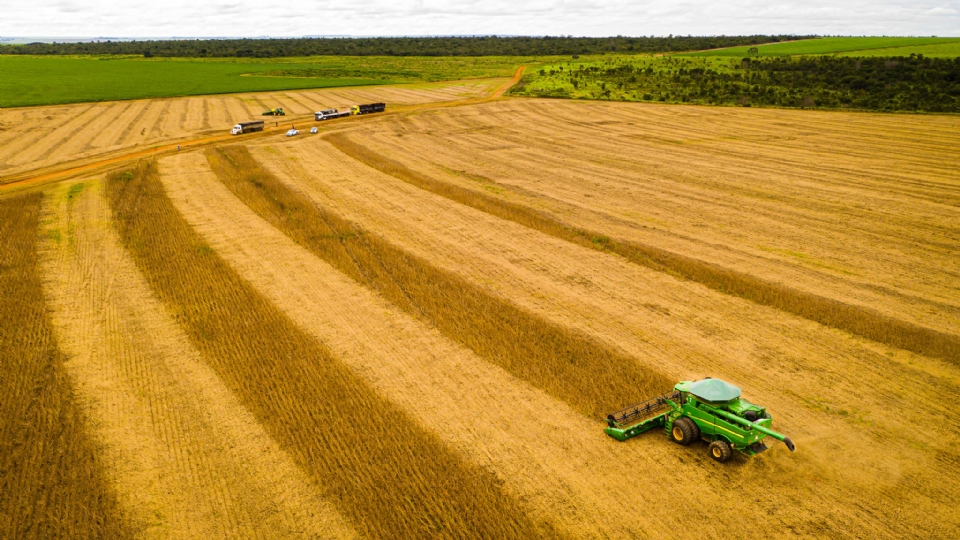 Quarenta cidades de MT esto entre municpios mais ricos do agronegcio no pas
