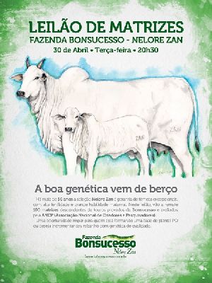  hoje: Fazenda Bonsucesso realiza o 2 Leilo Virtual 