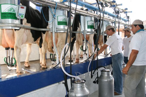 Mato Grosso quer estar entre os maiores produtores de leite