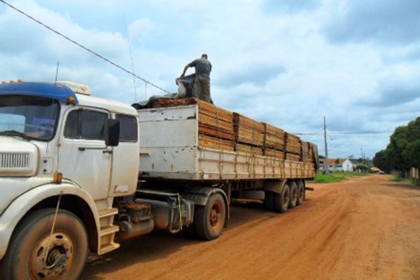 Sema e Indea apreendem 36 caminhes com madeira irregular em nove dias