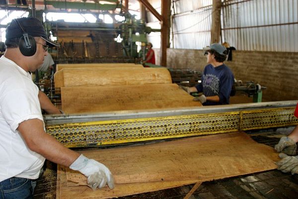 Setor madeireiro mostra preocupao com novo governador