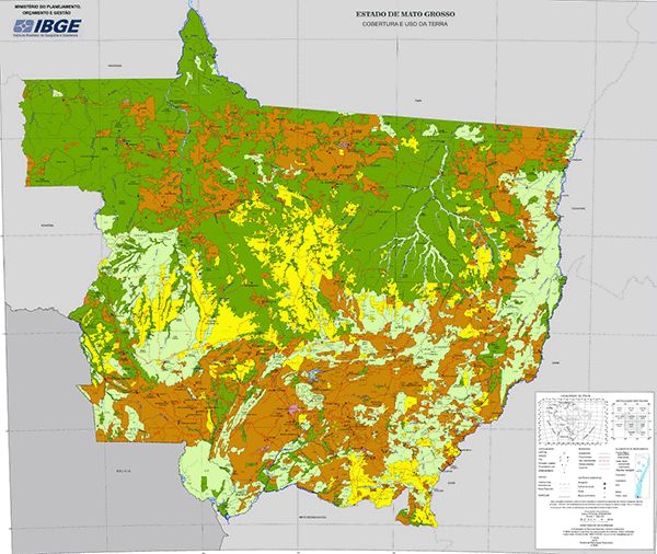 Pecuria domina mais de 40% de Mato Grosso, revela mapeamento do IBGE