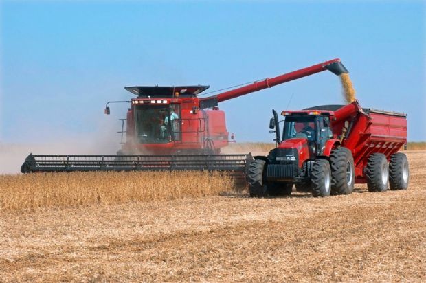 Colheita da soja em Mato Grosso atinge 97% da rea e entra na reta final