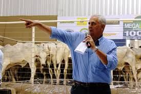 Maurio espera comercializar 30 mil bovinos no sbado
