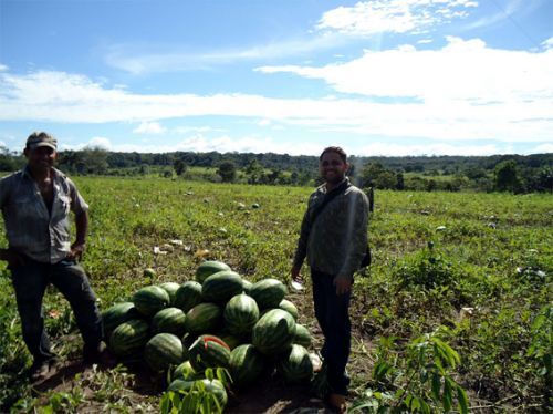 Agricultura cresce no Vale do Araguaia; infraestrutura no acompanha avalia Aprosoja