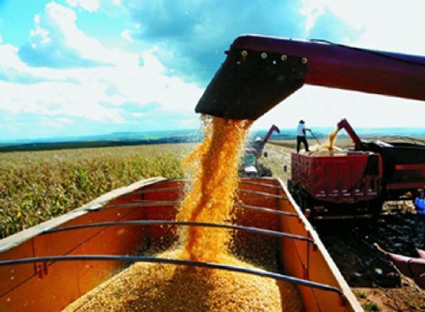 China ter safra recorde de milho e diminuir importaes do Brasil