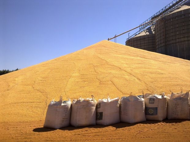 Safra de soja ultrapassar 30 milhes de toneladas e esbarrar em dficit de armazns; bancos tem crdito para construes
