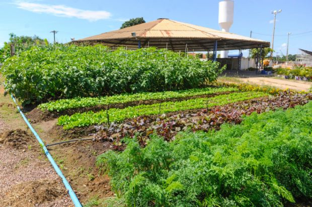 Prefeitura de Sinop levará para a Exponop mini fazenda voltada para agricultura familiar