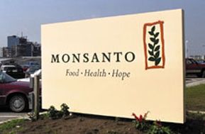 Monsanto argumenta que  titular de direitos da RR1 e vai recorrer