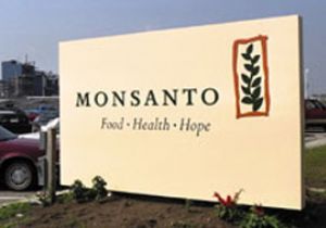 Monsanto decide adiar cobrana de royalties da RR1 at anlise do STJ