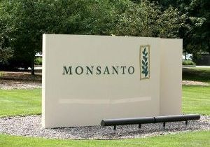 Debates sobre as cobranas da Monsanto chegam ao Congresso