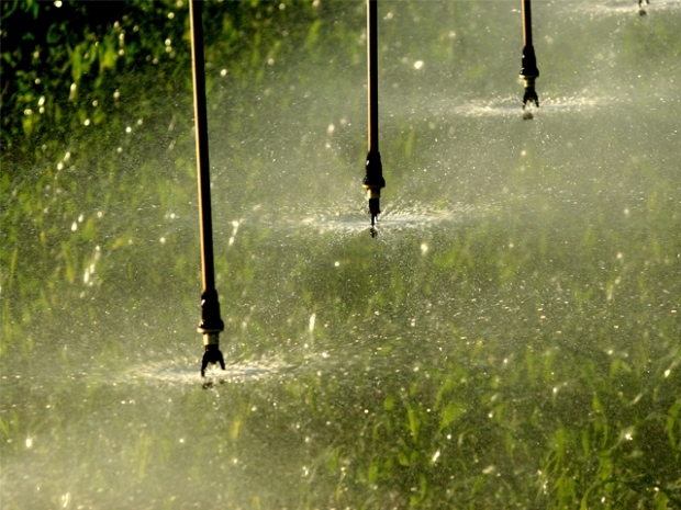 Produtores de 23 cidades de MT vo integrar programa federal de fomento da agricultura irrigada