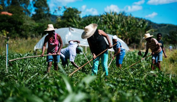 Agricultura familiar foi responsvel por R$ 80 mi em financiamentos em MT; 40 mil produtores foram atendidos