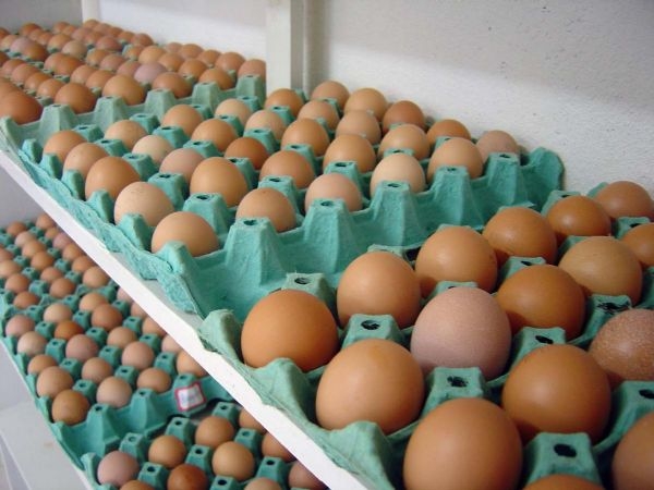 Fechamento de restaurantes faz cair preo de hortalias, mas valor do ovo tem aumento de 15%