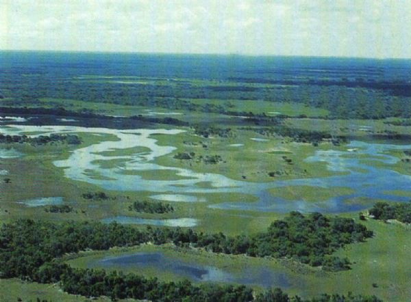Senadores pedem ao urgente de socorro ao Pantanal