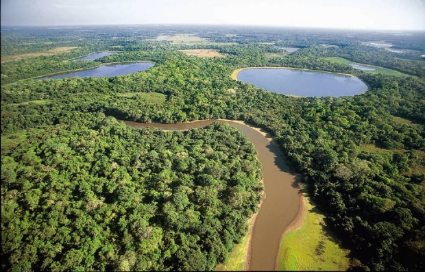 Cceres e Pocon podem de ter mais de 500 mil hectares destinados ao projeto de conservao do Pantanal